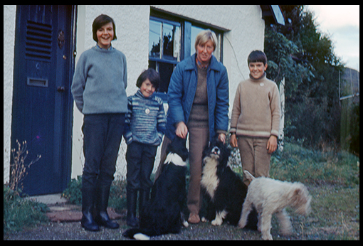 image 34