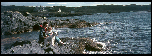 image 35