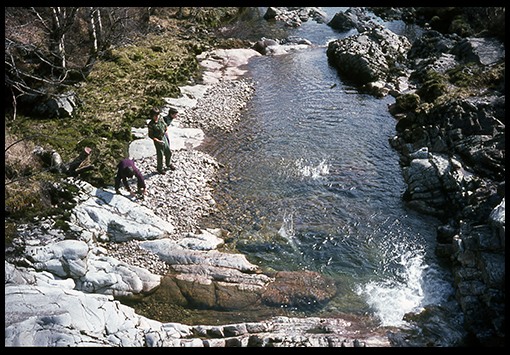 image 39