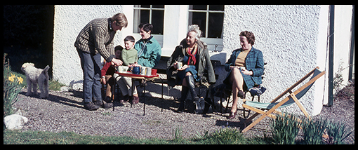 image 45
