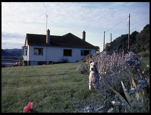 image 51