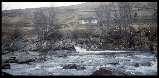image 65