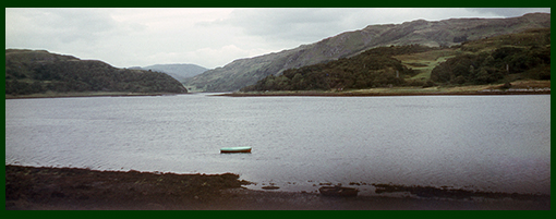 image 71