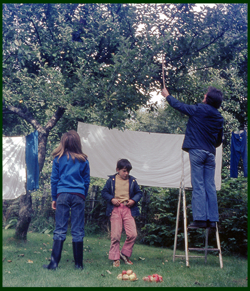 image 77