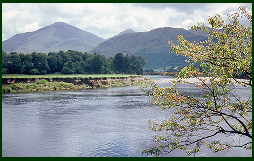 image 90