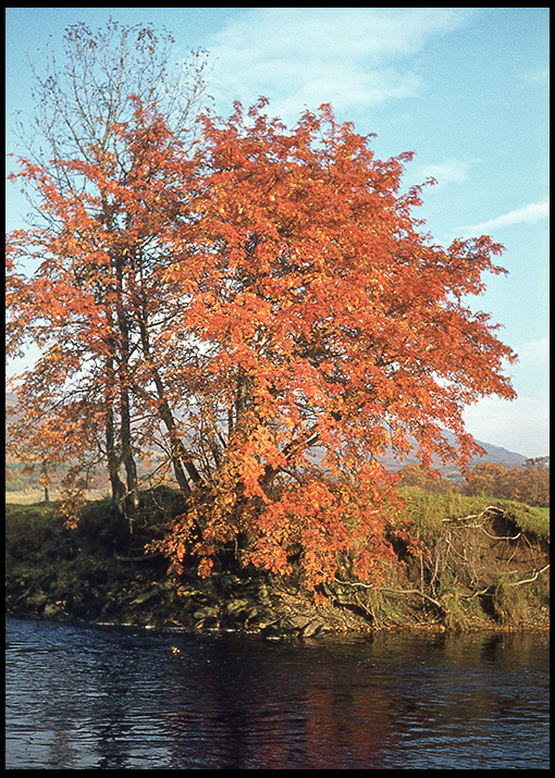 image 25