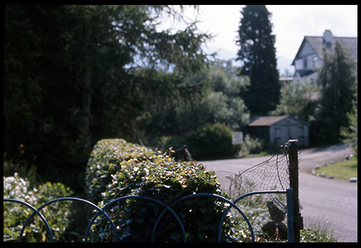 image 17